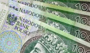 Польські злоті
