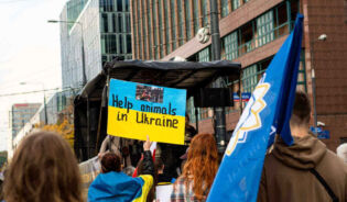 Ludzie idący w marszu ochrony ukraińskich zwierząt