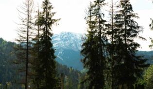 Wyjazd do gor w Zakopane