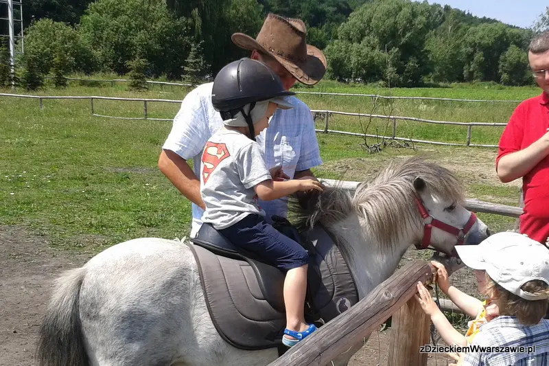 Ферма для дітей з тваринками
