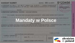 Jak wygląda mandat w Polsce. Zdjęcie mandatu