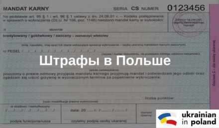 Как выглядит штраф в Польше. Фото мандата