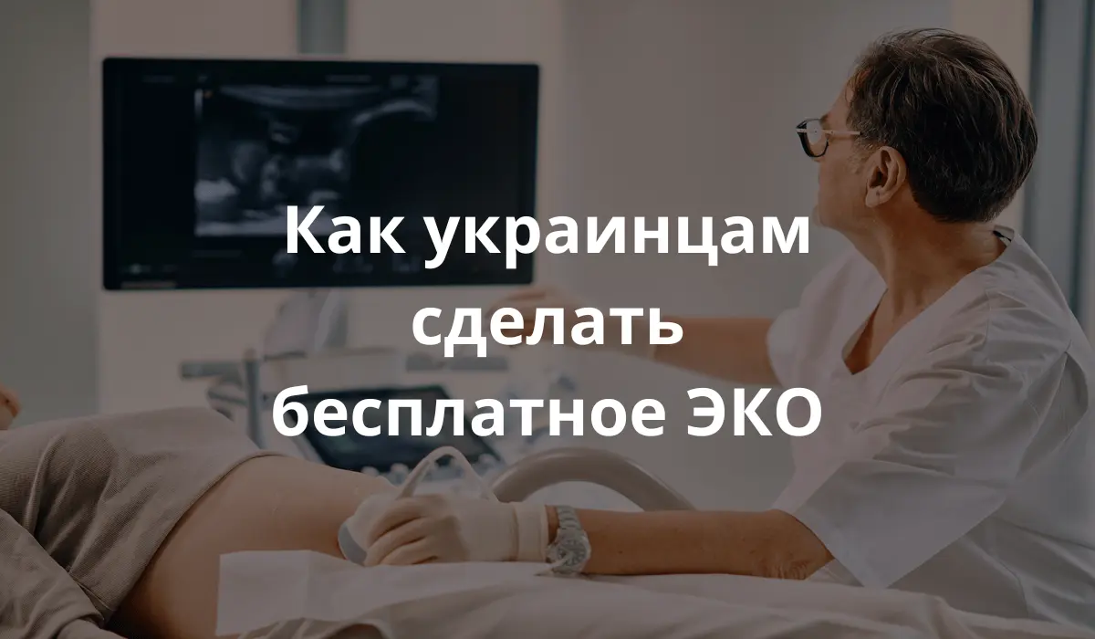 Как украинцам сделать бесплатное ЭКО в Польше
