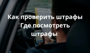 Человек, вид сзади, сидит в припаркованной машине и проверяет штрафы на смартфоне; на приборной панели лежит польский штраф